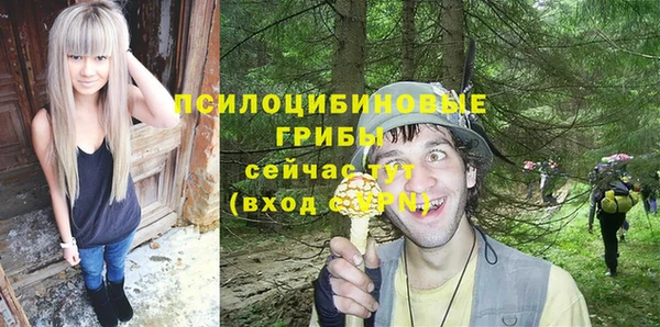 спиды Зеленодольск