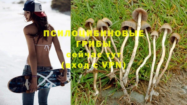 спиды Зеленодольск