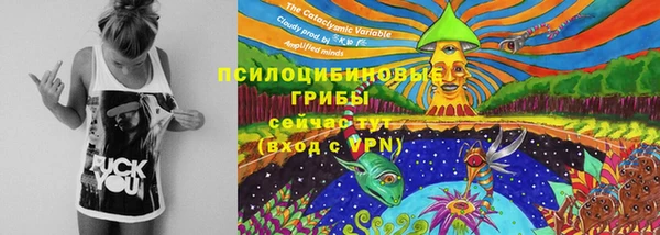прущая мука Зеленокумск