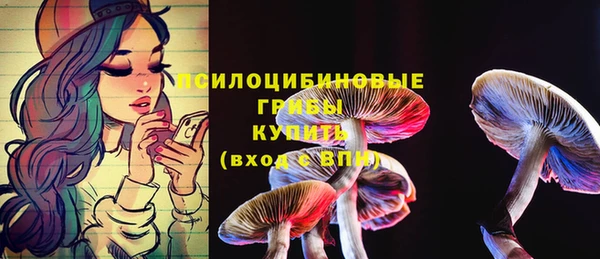 прущая мука Зеленокумск
