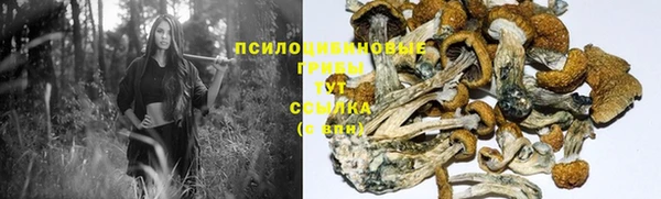 прущая мука Зеленокумск