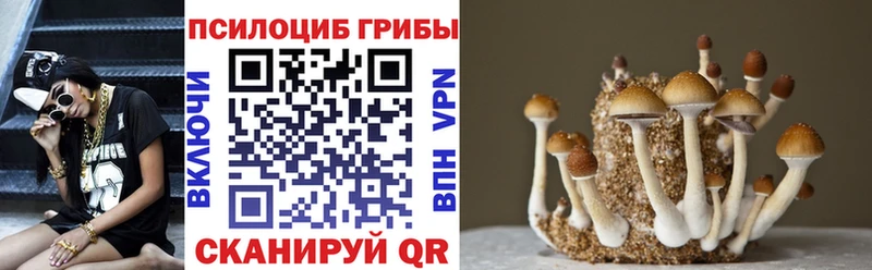 Галлюциногенные грибы MAGIC MUSHROOMS  купить   кракен ССЫЛКА  Козьмодемьянск 